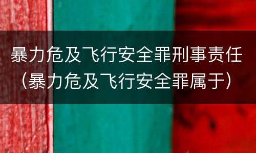 暴力危及飞行安全罪刑事责任（暴力危及飞行安全罪属于）
