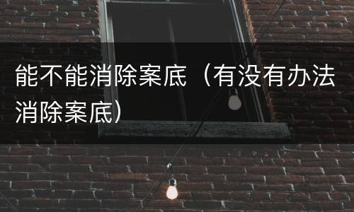 能不能消除案底（有没有办法消除案底）