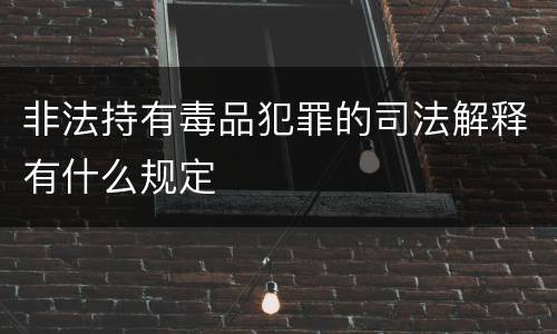 非法持有毒品犯罪的司法解释有什么规定