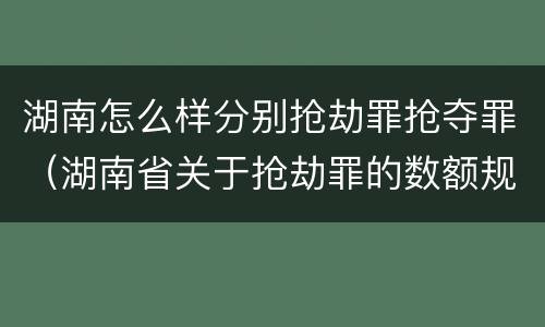 湖南怎么样分别抢劫罪抢夺罪（湖南省关于抢劫罪的数额规定）