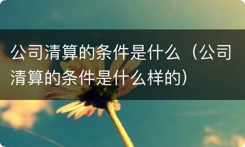 公司清算的条件是什么（公司清算的条件是什么样的）