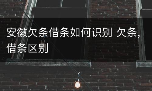 安徽欠条借条如何识别 欠条,借条区别