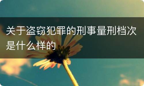 关于盗窃犯罪的刑事量刑档次是什么样的