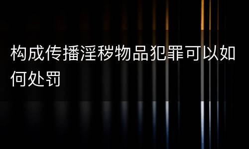 构成传播淫秽物品犯罪可以如何处罚