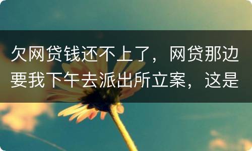 欠网贷钱还不上了，网贷那边要我下午去派出所立案，这是真的假的