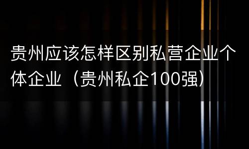 贵州应该怎样区别私营企业个体企业（贵州私企100强）