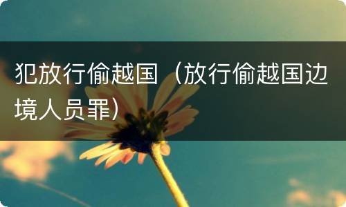 犯放行偷越国（放行偷越国边境人员罪）