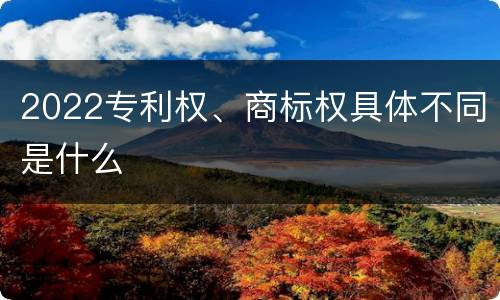 2022专利权、商标权具体不同是什么