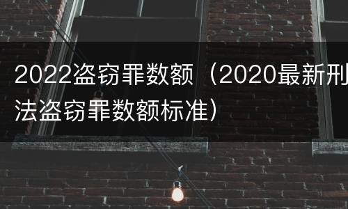 2022盗窃罪数额（2020最新刑法盗窃罪数额标准）