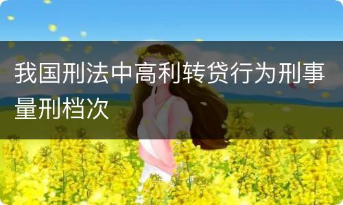 我国刑法中高利转贷行为刑事量刑档次