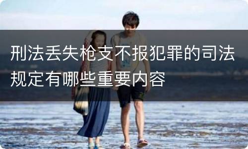刑法丢失枪支不报犯罪的司法规定有哪些重要内容