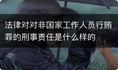 法律对对非国家工作人员行贿罪的刑事责任是什么样的