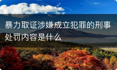 暴力取证涉嫌成立犯罪的刑事处罚内容是什么
