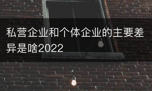 私营企业和个体企业的主要差异是啥2022