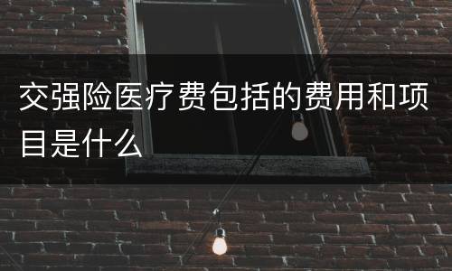 交强险医疗费包括的费用和项目是什么