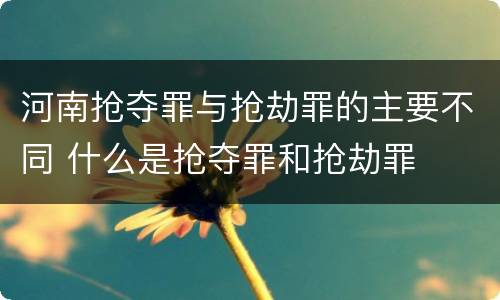 河南抢夺罪与抢劫罪的主要不同 什么是抢夺罪和抢劫罪