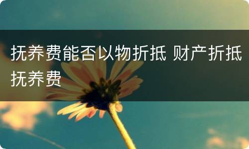 抚养费能否以物折抵 财产折抵抚养费