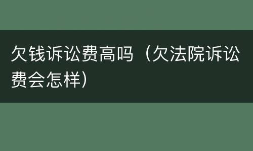 欠钱诉讼费高吗（欠法院诉讼费会怎样）