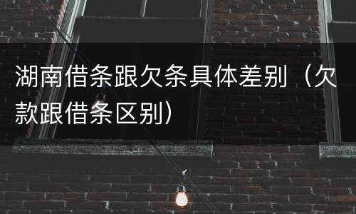 湖南借条跟欠条具体差别（欠款跟借条区别）