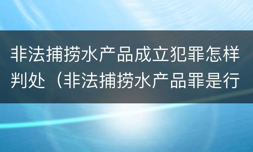 非法捕捞水产品成立犯罪怎样判处（非法捕捞水产品罪是行为犯吗）