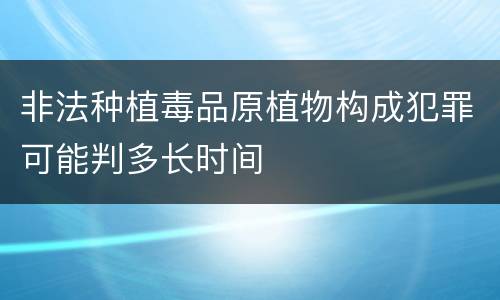 非法种植毒品原植物构成犯罪可能判多长时间