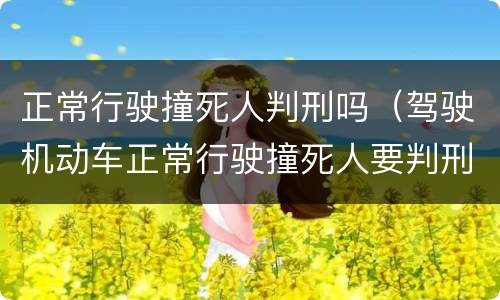 正常行驶撞死人判刑吗（驾驶机动车正常行驶撞死人要判刑吗?）