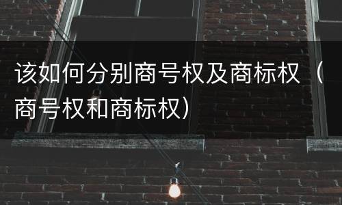 该如何分别商号权及商标权（商号权和商标权）