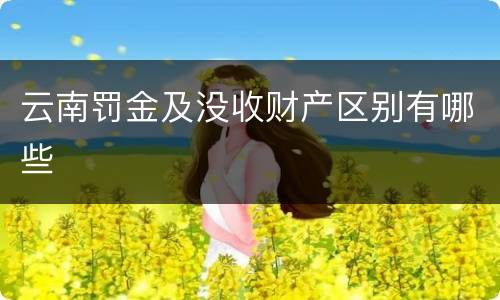 云南罚金及没收财产区别有哪些