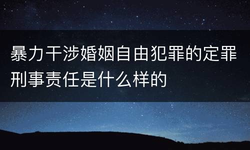 暴力干涉婚姻自由犯罪的定罪刑事责任是什么样的