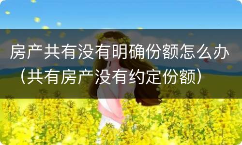 房产共有没有明确份额怎么办（共有房产没有约定份额）