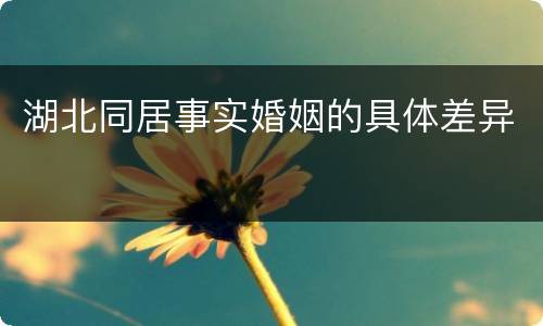 湖北同居事实婚姻的具体差异