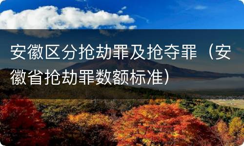 安徽区分抢劫罪及抢夺罪（安徽省抢劫罪数额标准）