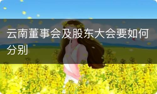 云南董事会及股东大会要如何分别