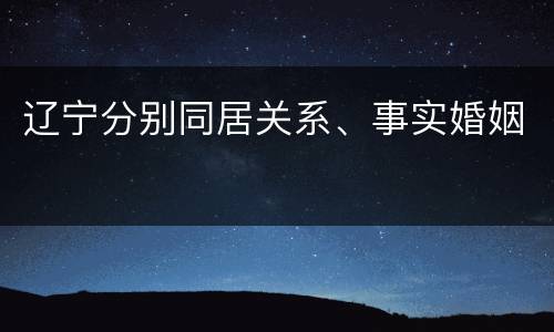 辽宁分别同居关系、事实婚姻