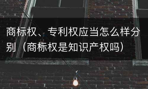 商标权、专利权应当怎么样分别（商标权是知识产权吗）