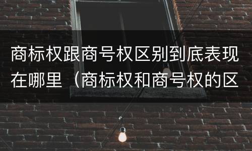 商标权跟商号权区别到底表现在哪里（商标权和商号权的区别）