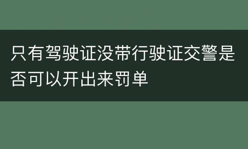 只有驾驶证没带行驶证交警是否可以开出来罚单