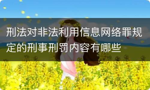 刑法对非法利用信息网络罪规定的刑事刑罚内容有哪些