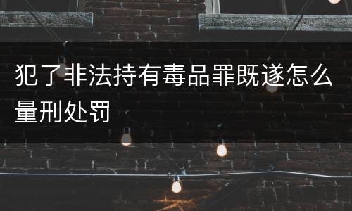 犯了非法持有毒品罪既遂怎么量刑处罚