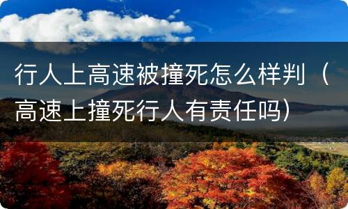 行人上高速被撞死怎么样判（高速上撞死行人有责任吗）