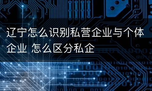 辽宁怎么识别私营企业与个体企业 怎么区分私企
