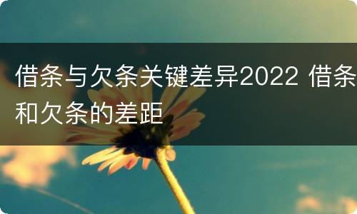 借条与欠条关键差异2022 借条和欠条的差距