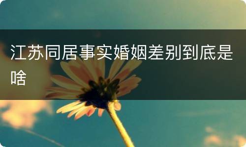 江苏同居事实婚姻差别到底是啥