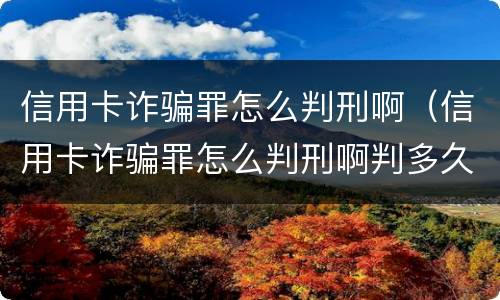 信用卡诈骗罪怎么判刑啊（信用卡诈骗罪怎么判刑啊判多久）