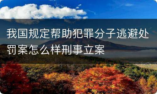 我国规定帮助犯罪分子逃避处罚案怎么样刑事立案