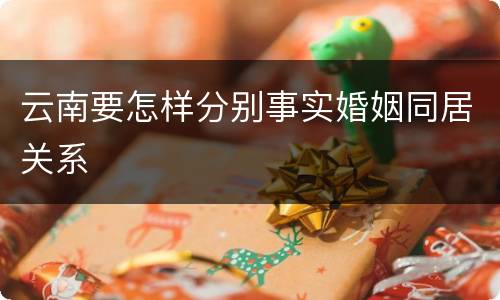 云南要怎样分别事实婚姻同居关系