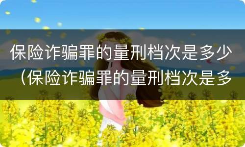 保险诈骗罪的量刑档次是多少（保险诈骗罪的量刑档次是多少啊）