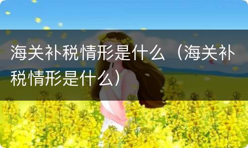 海关补税情形是什么（海关补税情形是什么）