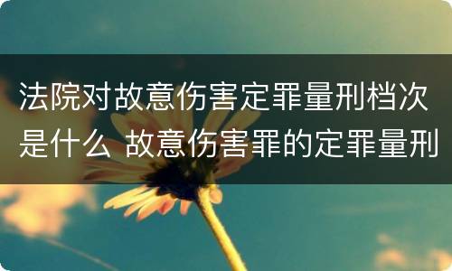法院对故意伤害定罪量刑档次是什么 故意伤害罪的定罪量刑