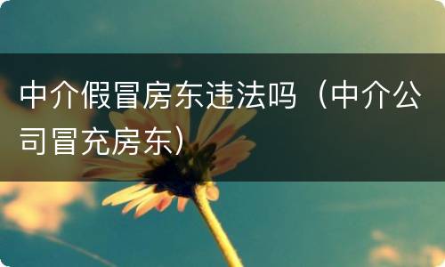 中介假冒房东违法吗（中介公司冒充房东）